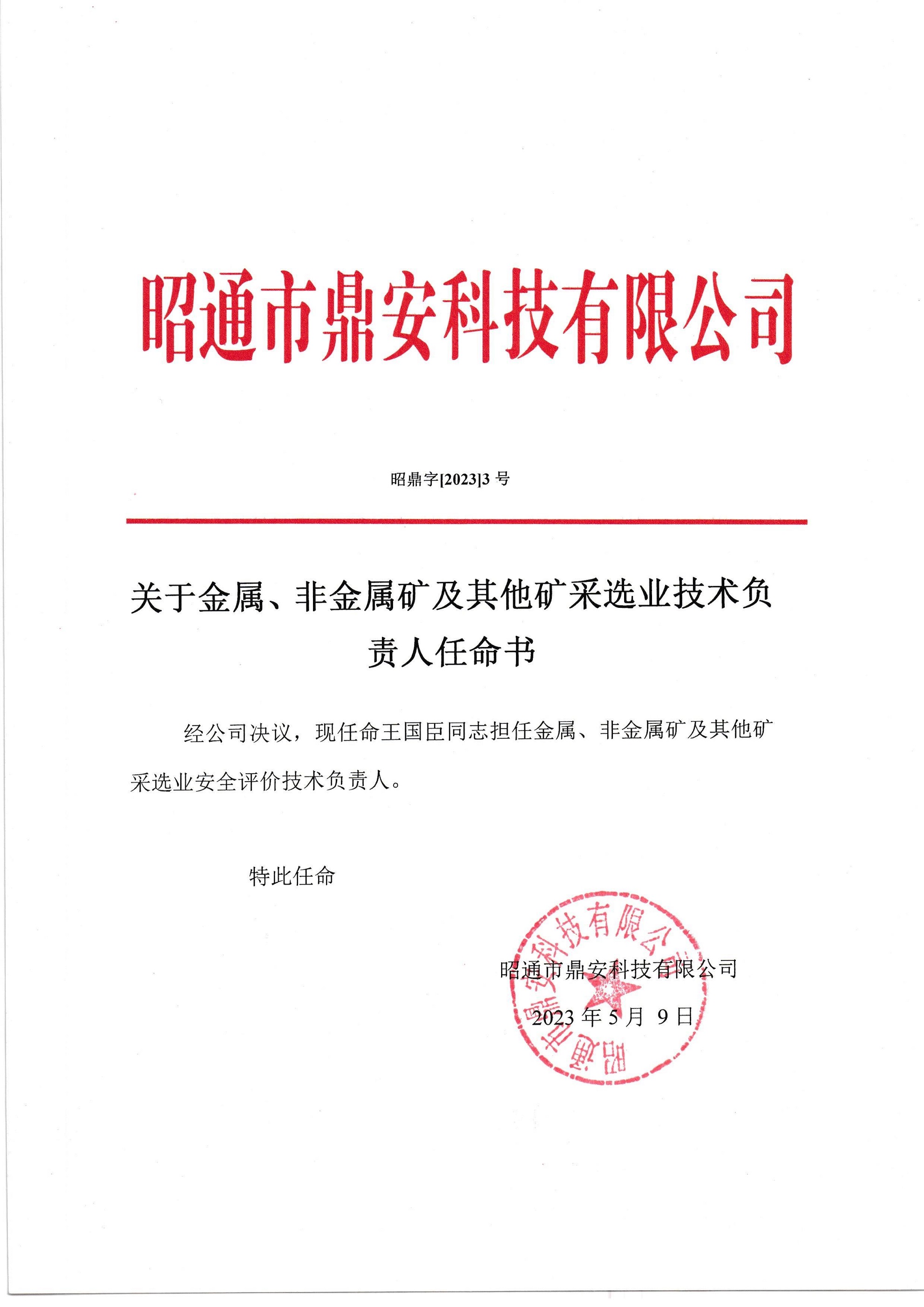 关于金属、非金属矿及其他矿采选业技术负责人任命书-王国臣_2.jpg