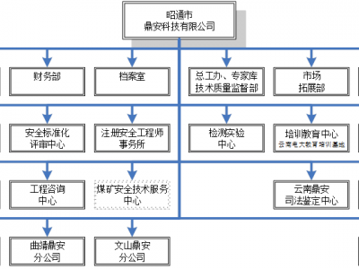 组织结构