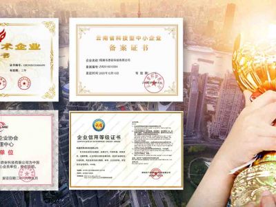 昭通市鼎安科技有限公司简介