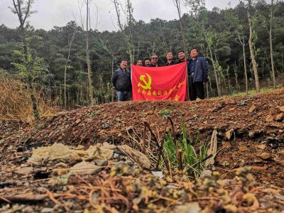 2020年4月植树造林党员先行造林点维护