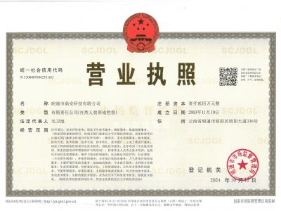 鼎安营业执照
